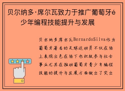 贝尔纳多·席尔瓦致力于推广葡萄牙青少年编程技能提升与发展