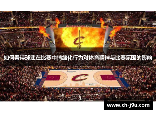 如何看待球迷在比赛中情绪化行为对体育精神与比赛氛围的影响