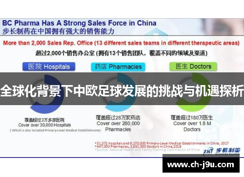 全球化背景下中欧足球发展的挑战与机遇探析