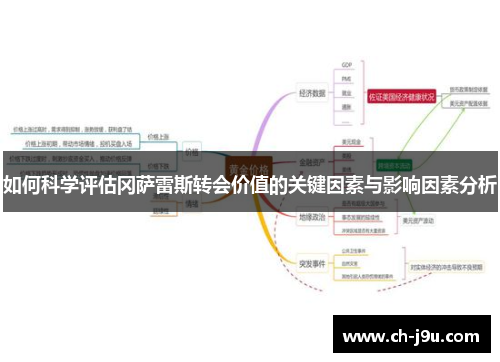 如何科学评估冈萨雷斯转会价值的关键因素与影响因素分析
