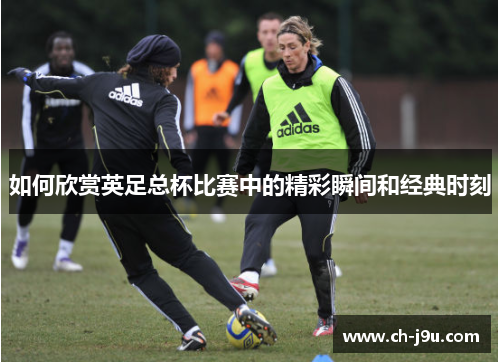 如何欣赏英足总杯比赛中的精彩瞬间和经典时刻