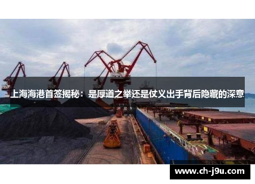 上海海港首签揭秘：是厚道之举还是仗义出手背后隐藏的深意
